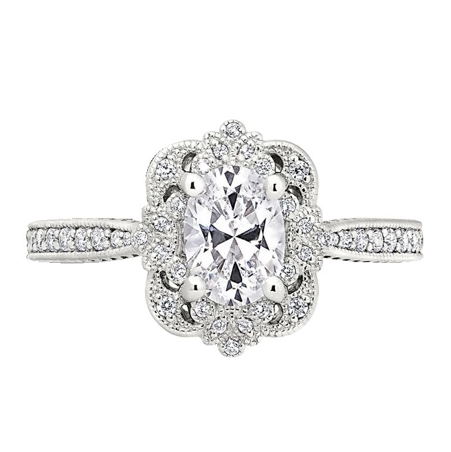 Peter Storm Diamond Milgrain Ring Setting with Ornamental Halo in White ...