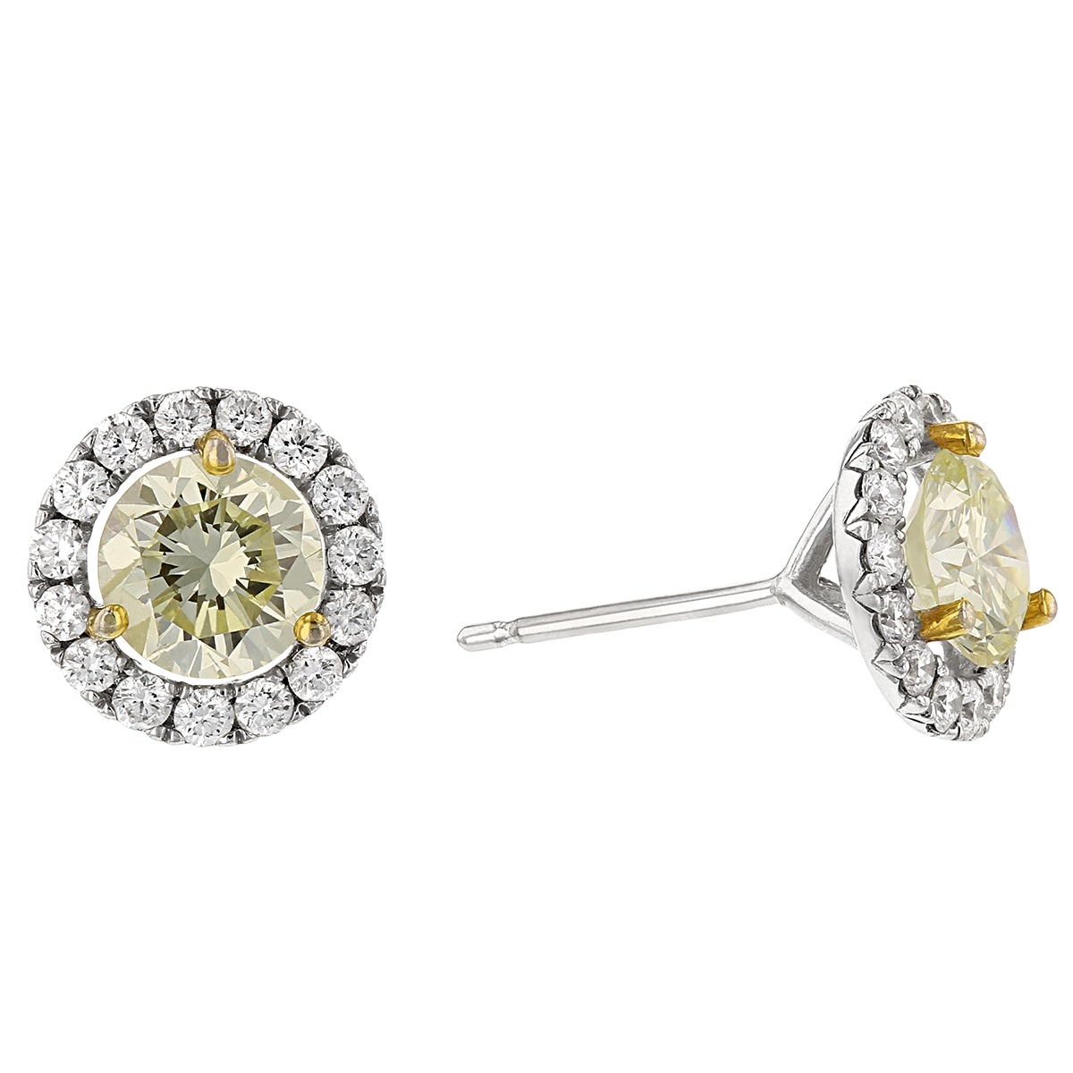 Round Diamond Halo Earrings in White Gold | Borsheims