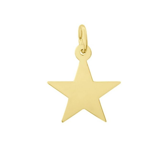 Rembrandt 14K Yellow Gold Star Charm