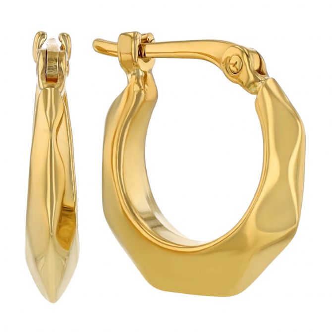 Faceted hoop online earrings