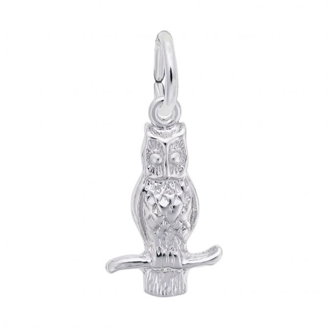 Rembrandt Charms Owl Charm in Sterling Silver