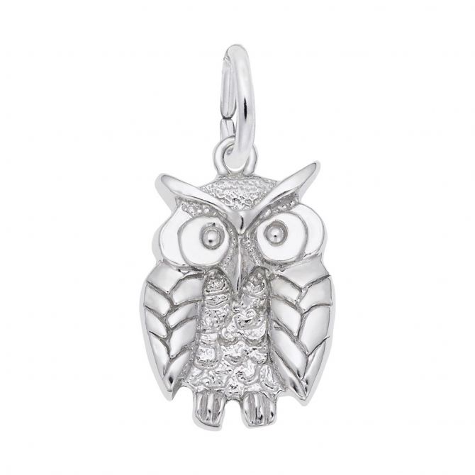 Rembrandt Charms Wise Owl Charm in Sterling Silver