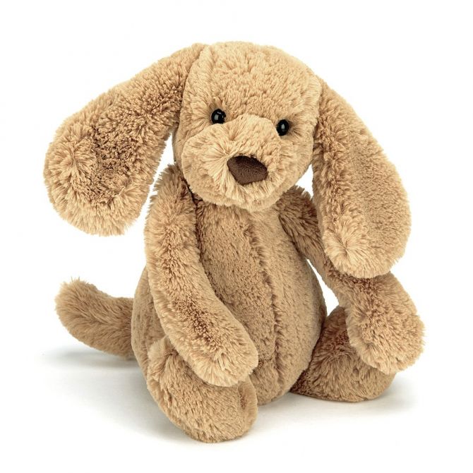 Jellycat Bashful Toffee Puppy, Medium