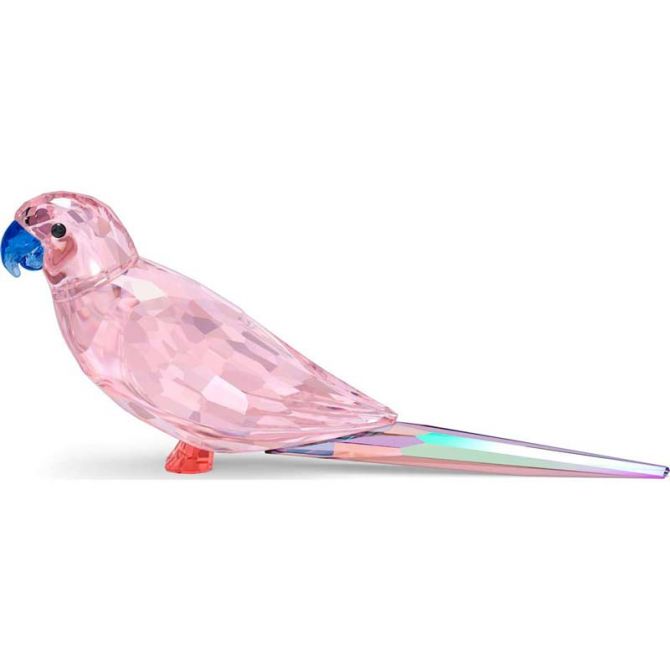 Swarovski Jungle Beats Pink Parakeet Cha Cha Figurine | 5557848