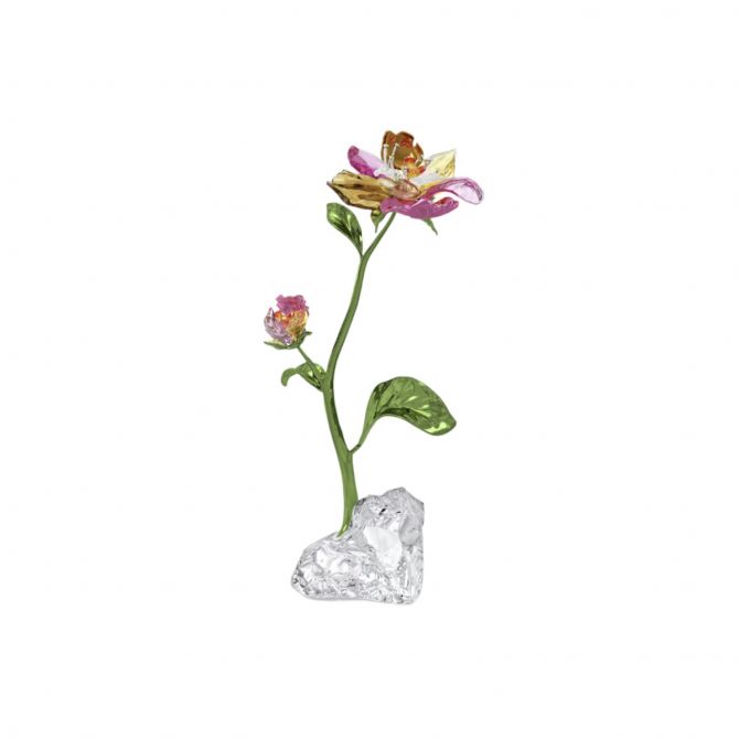 Swarovski Idyllia Flower Figurine, Large