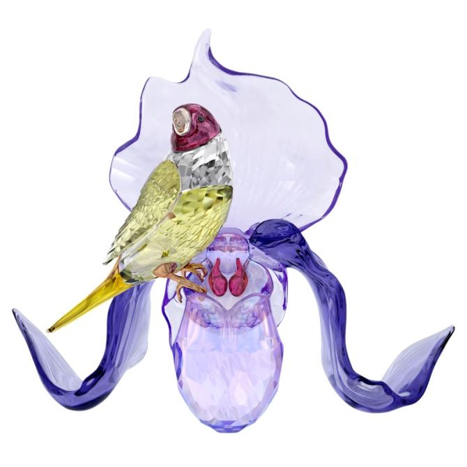 Swarovski Idyllia Gouldian Finch and Orchid Figurine