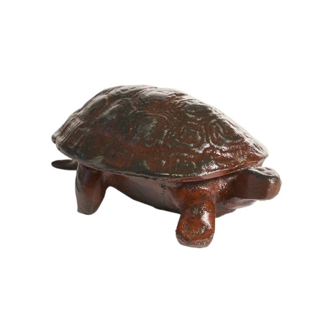 Jan Barboglio Lento Turtle