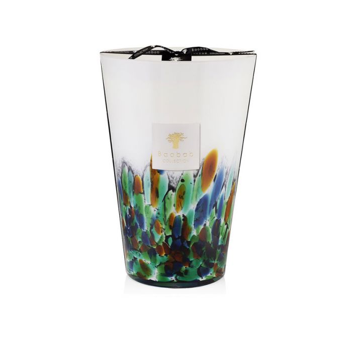 Baobab Rainforest Amazonia Candle, Max 35