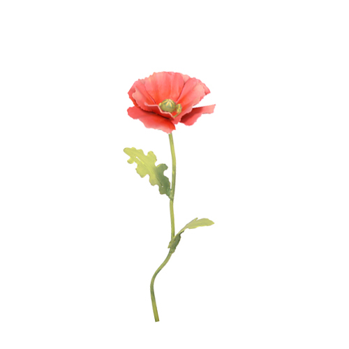 Pink Poppy Stake | Borsheims