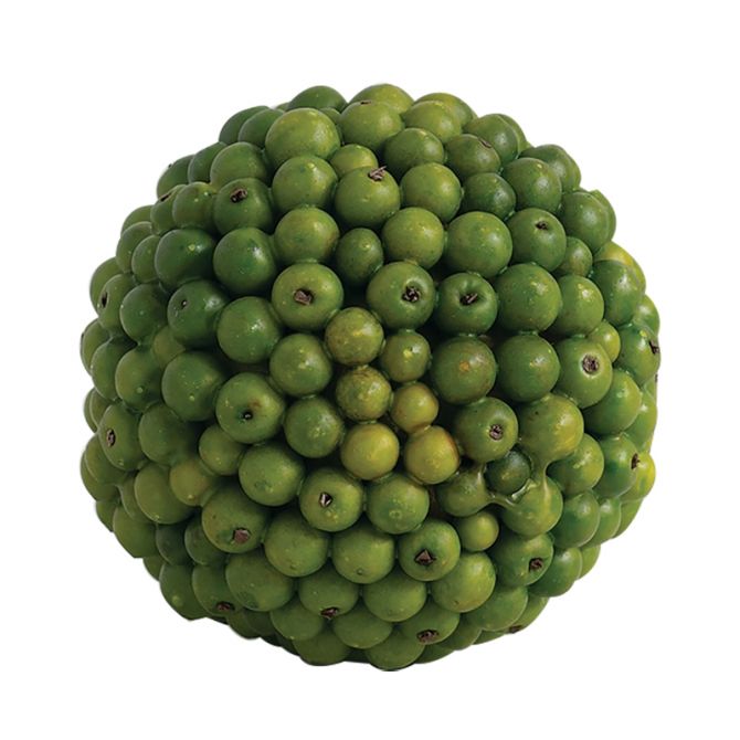 Green Fruit Orb Object, Small