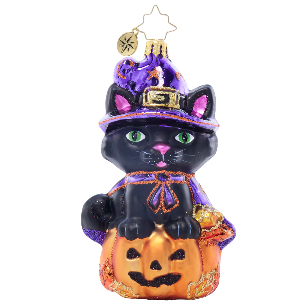 Christopher Radko Witchy Whiskers Ornament | 1022028 | Borsheims