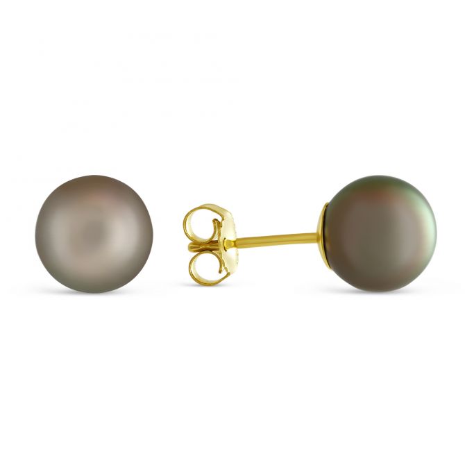 Black Tahitian Cultured Pearl Stud Earrings in Yellow Gold, 8x9mm by TARA Pearls