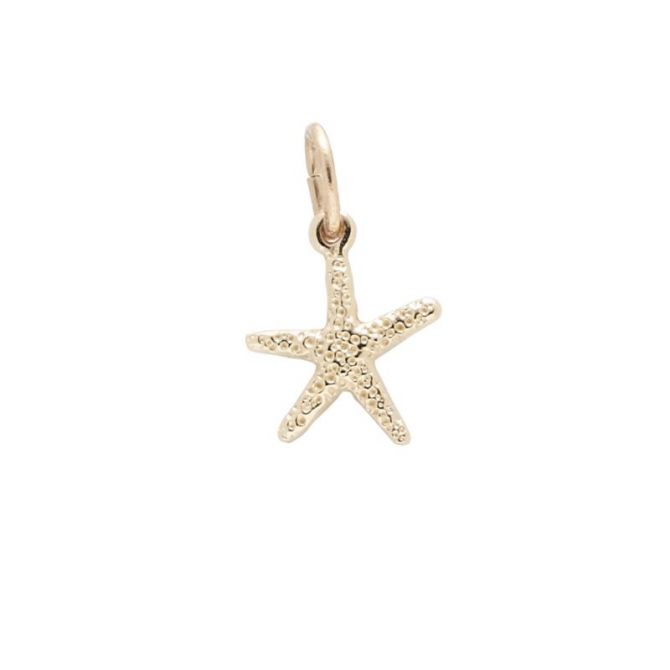 Rembrandt 14K Yellow Gold Starfish Charm