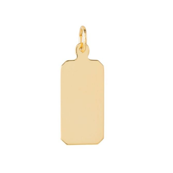 Rembrandt 14K Yellow Gold Dog Tag Charm