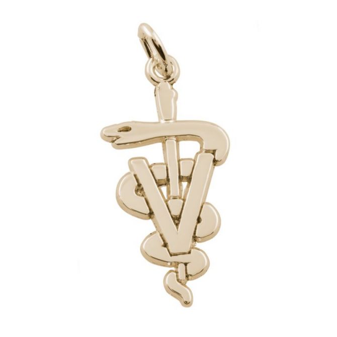 Rembrandt 14K Yellow Gold Veterinarian Charm