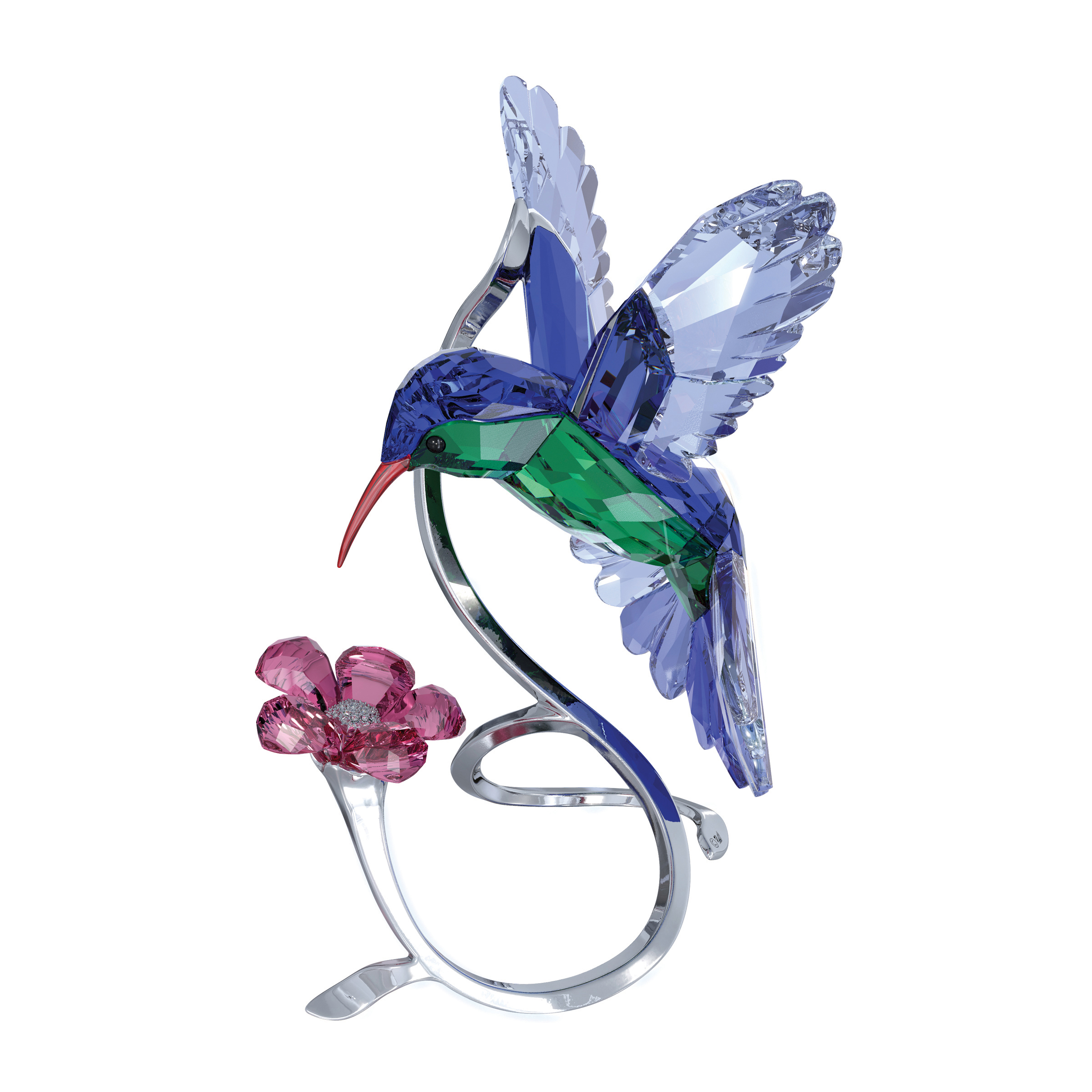 Swarovski hummingbird discount figurine