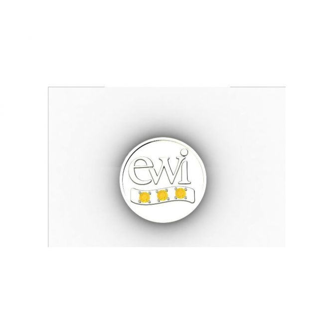 EWI Chapter Board Pin 10K White Gold with Citrines