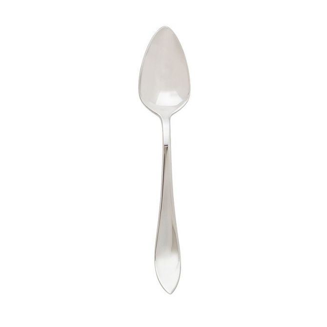 Ricci Contorno Stainless Tea Spoon